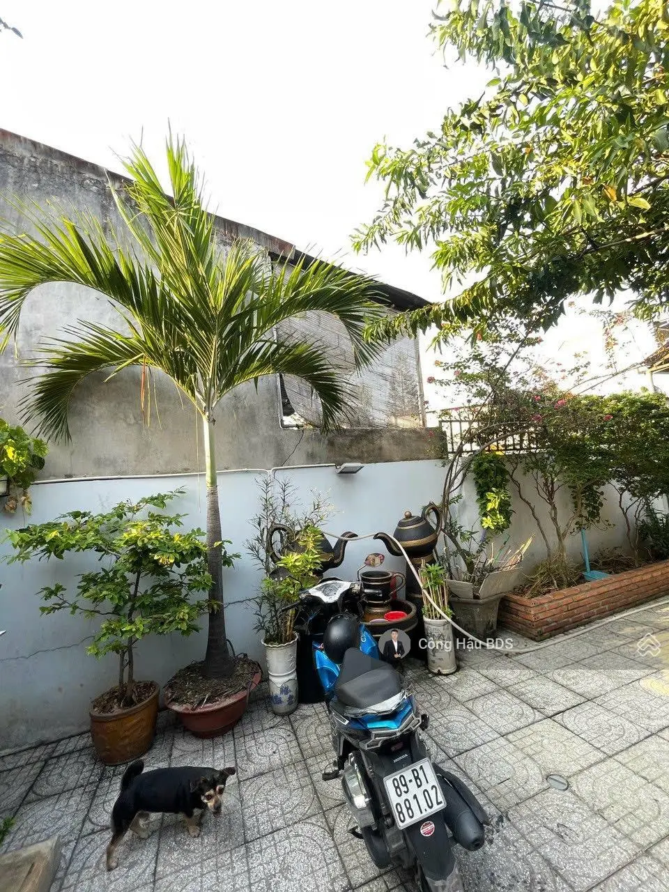 Nhà Trệt- 2 Lầu Gần Ngã Ba Cây Điệp. Tp. Dĩ An. DT: 166M2. Gồm 4 PN- 3WC. Giá: 3.35 Tỷ TL