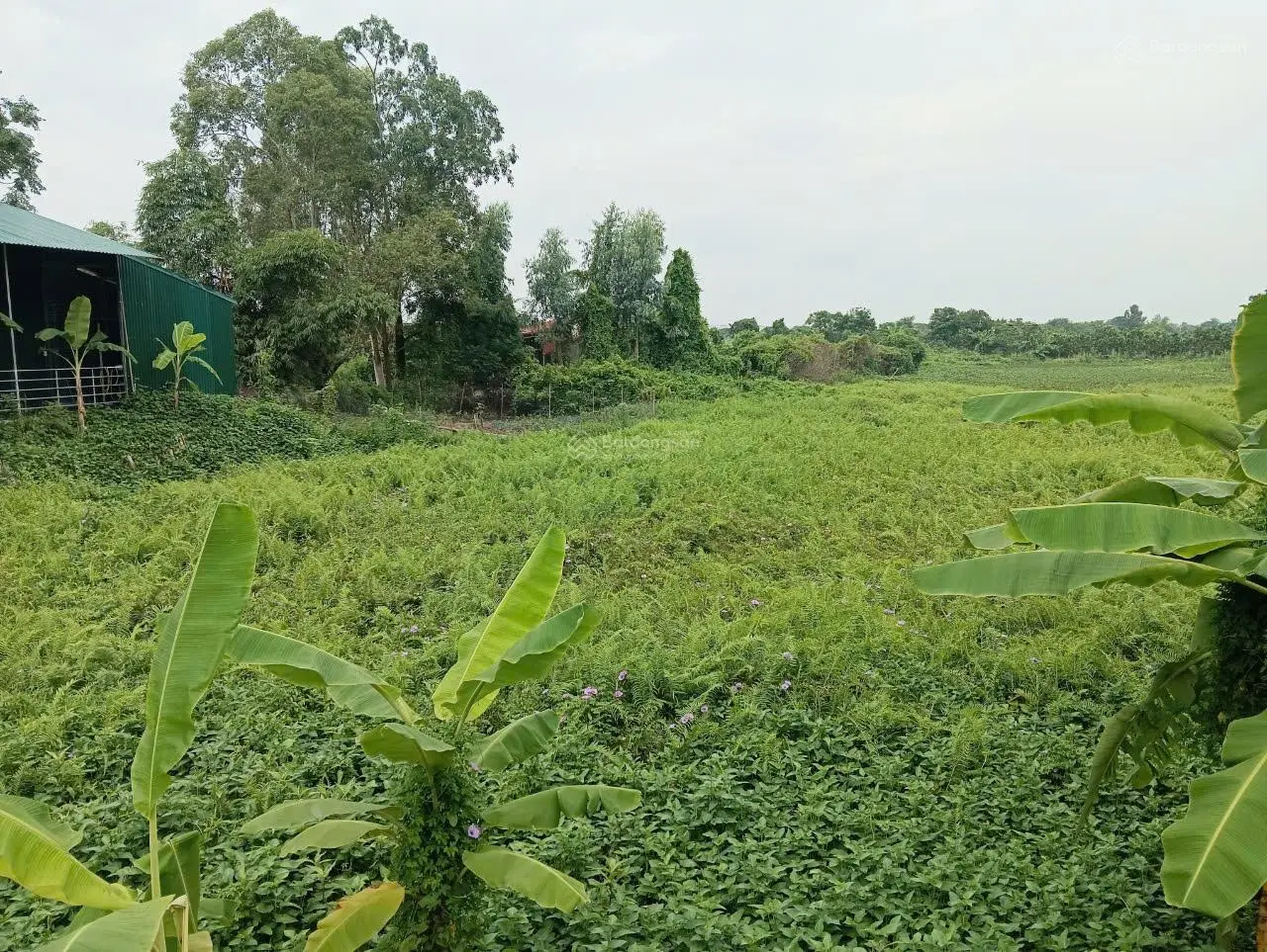Bán đất sản xuất công nghiệp xã Thanh Lâm - huyện Mê Linh, giáp ngay mặt đường Quốc lộ 23B