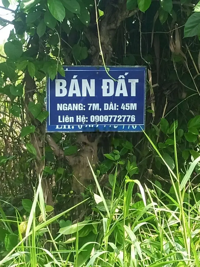 Bán gấp đất mặt tiền 1000 hậu Giang