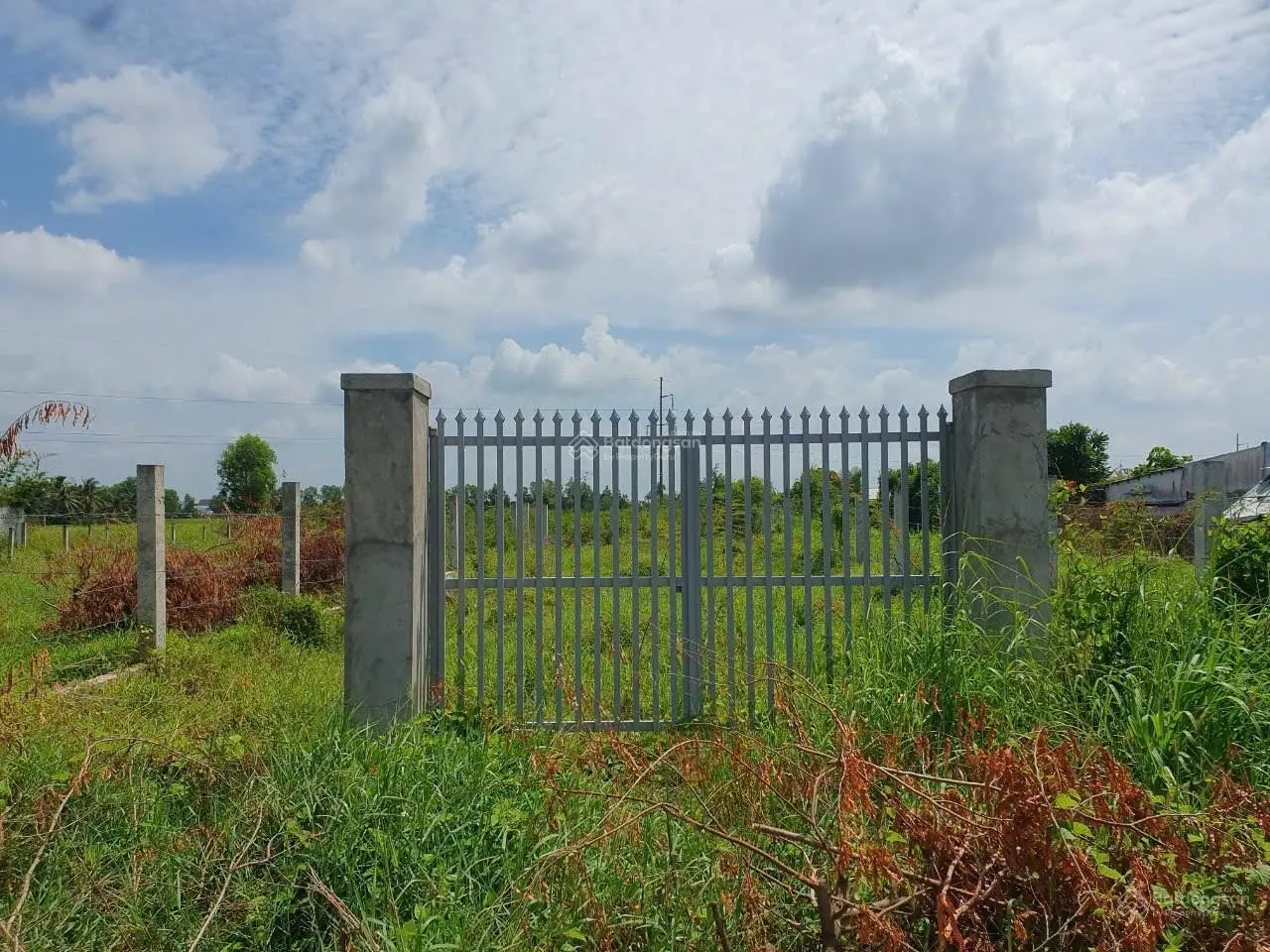 Chủ gửi bán nền đất thổ cư 500m2, mặt tiền đường Nguyễn Thị Bài, xã Long An, gần Quốc lộ 50 giá rẻ