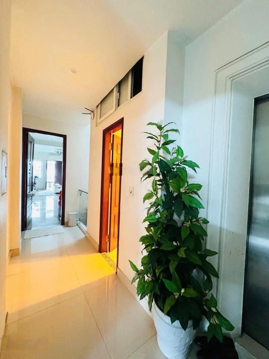 Bán Mặt phố Bạch Mai , Hai Bà Trưng . DT 113m2 7T Mặt tiền 4m. giá: 61 tỷ. LH :0383 426 ***
