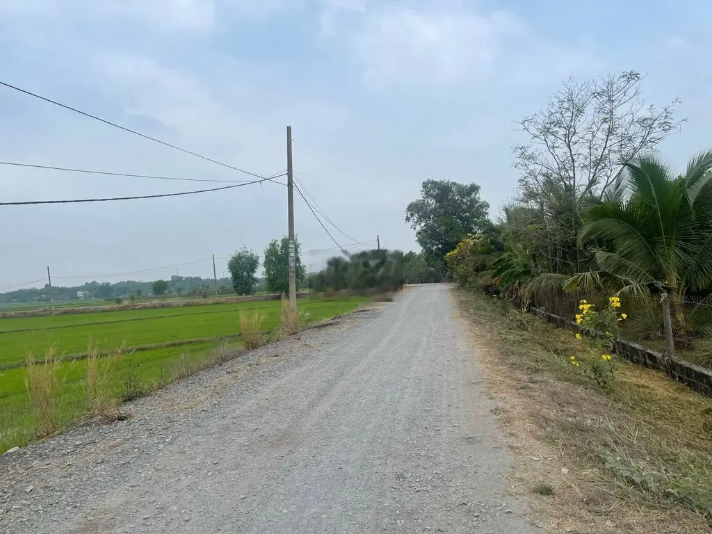 BÁN LÔ ĐẤT VƯỜN XÃ TRUNG LẬP HẠ, HUYỆN CỦ CHI