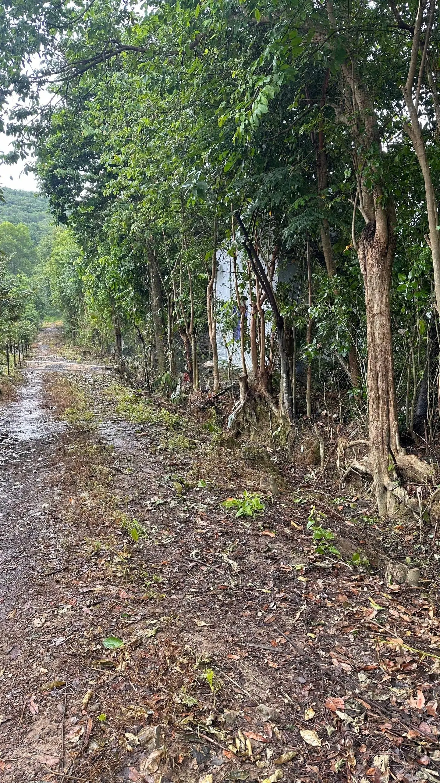 Khu vực mát mẻ yên bình, gần dân cư sinh sống. Phù hợp làm farm, khu nghỉ dưỡng, làm trang trại