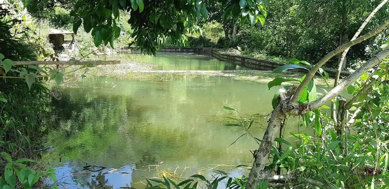 Bán 1.3ha 13.000m2 đất thổ cư gần đường cao tốc Hòa Bình Mộc Châu tại Đà Bắc - Hòa Bình