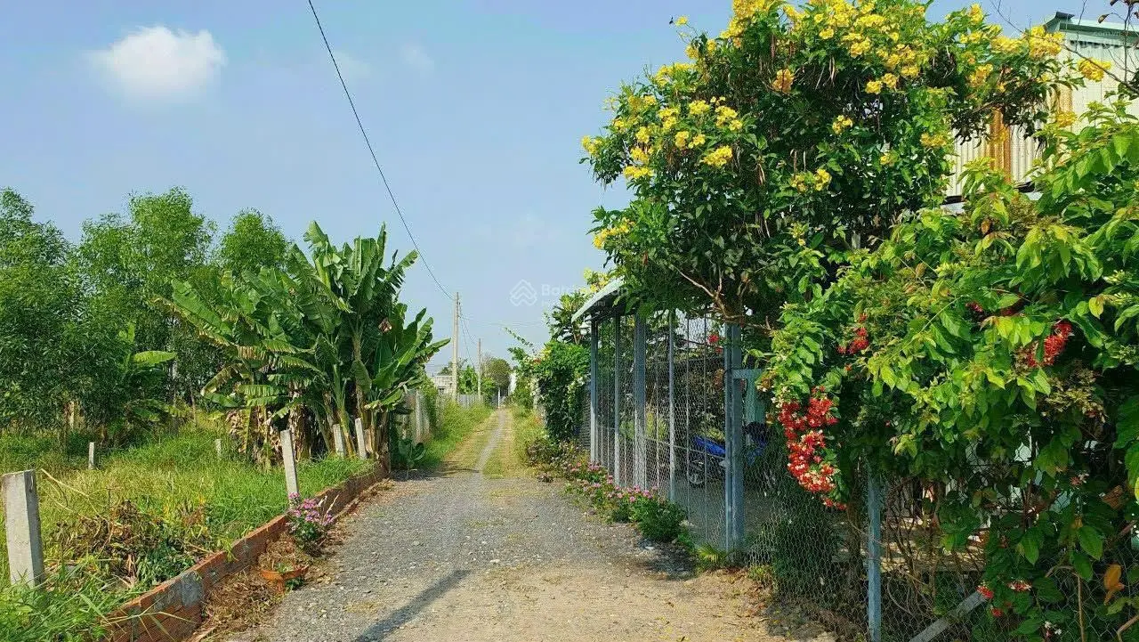 Chủ ngộp gửi bán 127m2 đất làm nhà vườn ngay thị trấn, giá rẻ nhất khu vực