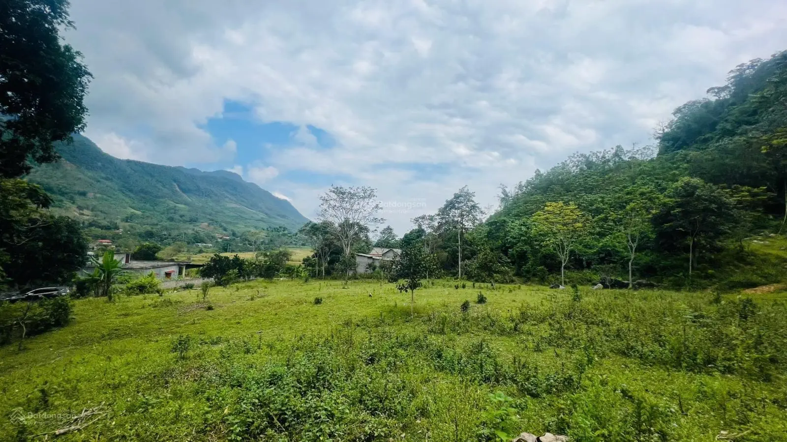 Bán 4300m có 350m ODT view cánh đồng tại trung tâm thị trấn Đà Bắc Hòa Bình giá nhỉnh 2tỷ
