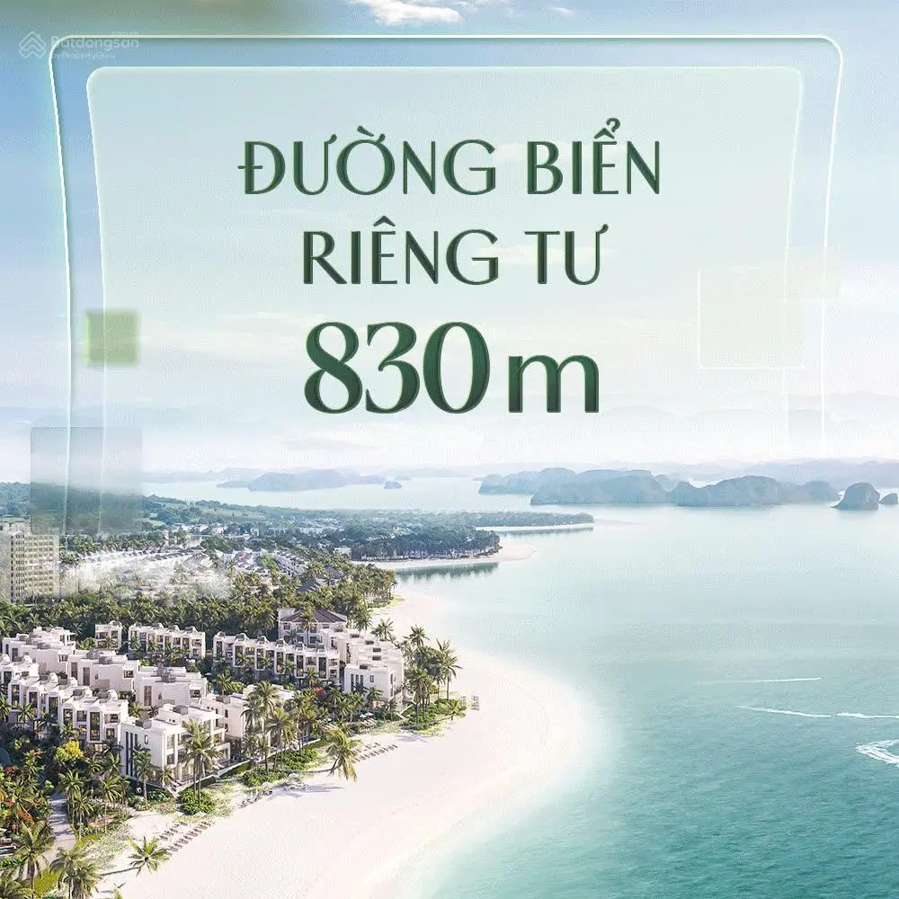 E Minh PKD CDT mở bán quỹ căn biệt thự cuối cùng đẹp nhất sát Vịnh Hạ Long Hùng Thắng Bãi Cháy
