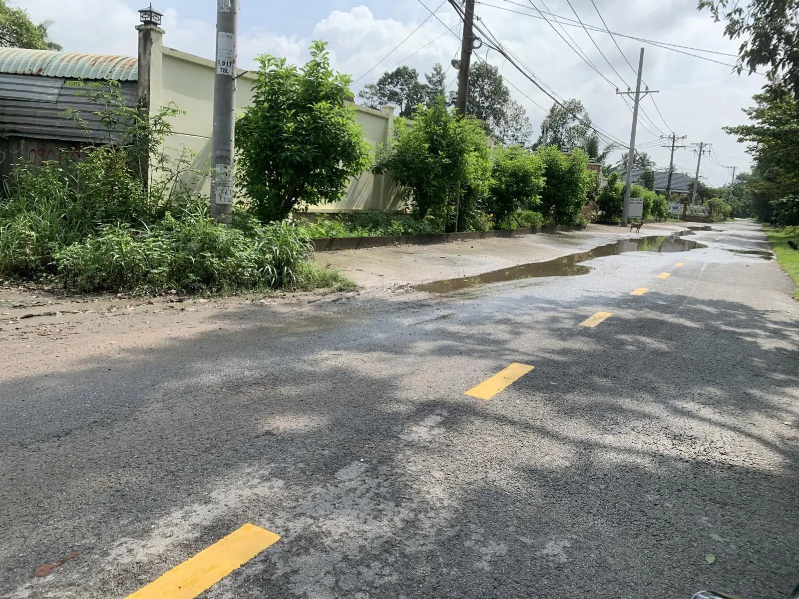 Chính chủ cần bán, 52m2 view sông, đối diện vinhome grandpark sổ riêng, thổ cư, long phước, quận 9