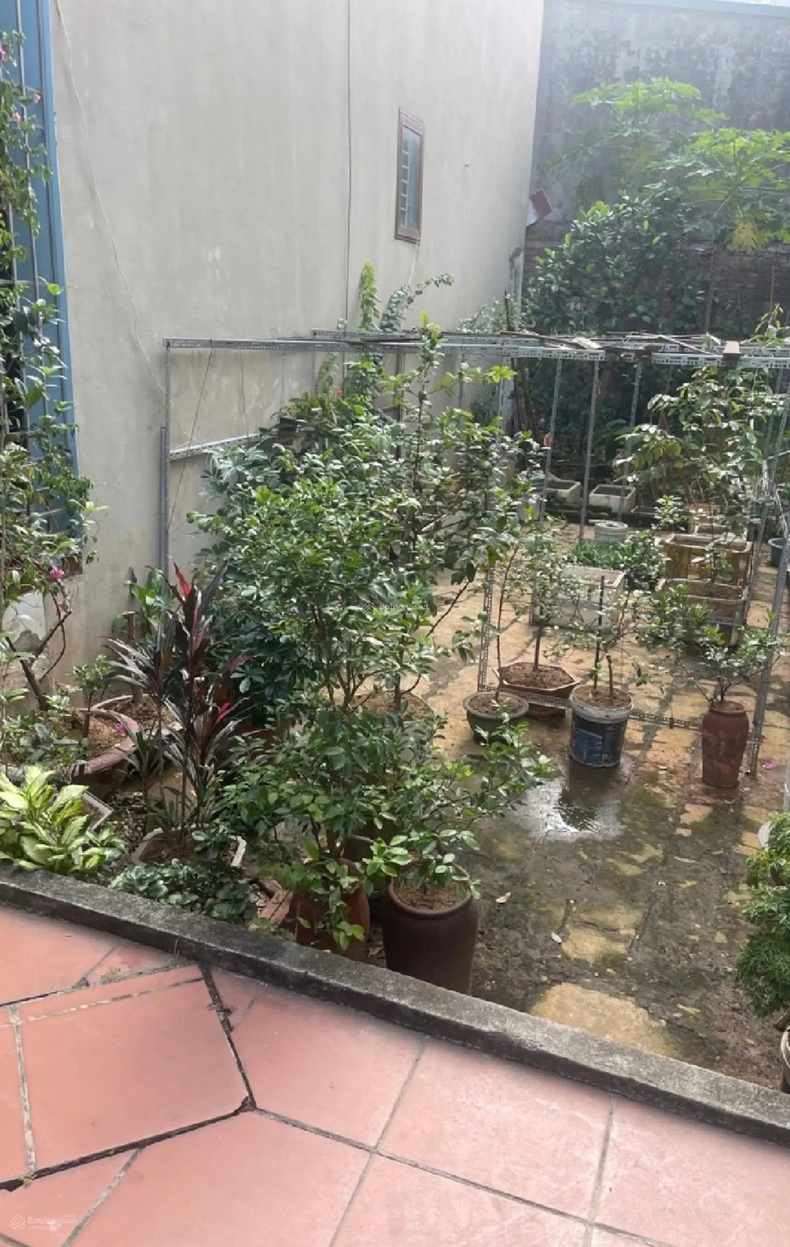 Đất hiếm Đường Tu Hoàng 75m2 ,mặt tiền 5m ,vị trí đắc địa, ngõ thông, oto đỗ cổng, giá nhỉnh 7 tỷ