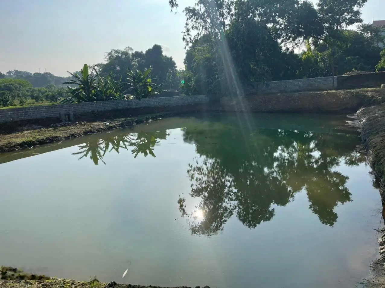 Siêu phẩm 4416m2 có 200m2 thổ cư tọa lạc giữa trung tâm thị trấn Lương Sơn, Lương Sơn, Hòa Bình