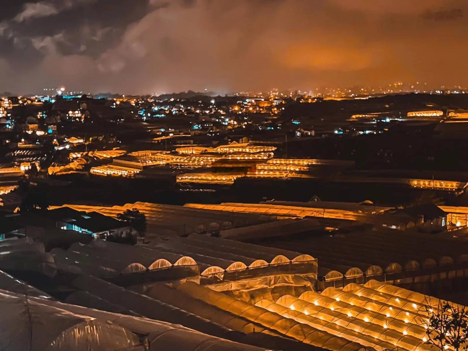 Bán dãy biệt thự tân cổ điển, đường ô tô lớn, phường 11, Đà Lạt giá F0 chỉ từ 14.5 tỷ