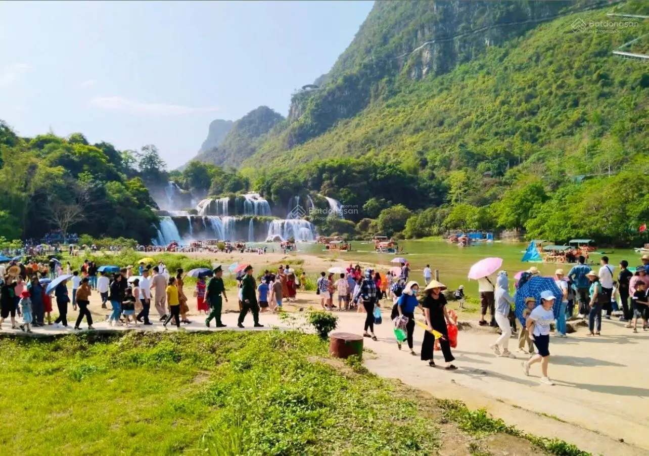 Bán Trang trại, khu nghỉ dưỡng tại Thị trấn Trùng Khánh, 70 tỷ, 6953 m2 giá siêu hời uy tín