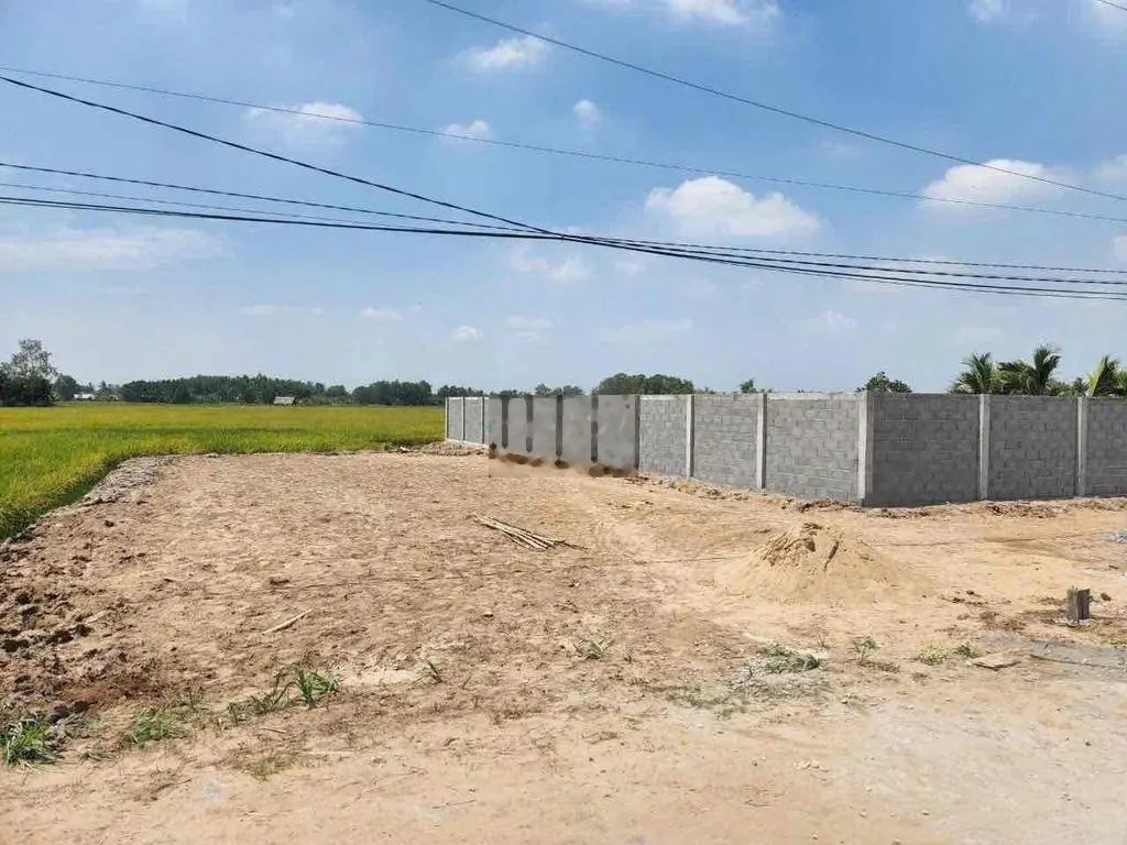 Mặt tiền nhựa Phước Toàn - Gò Đen FUll Thổ Cư