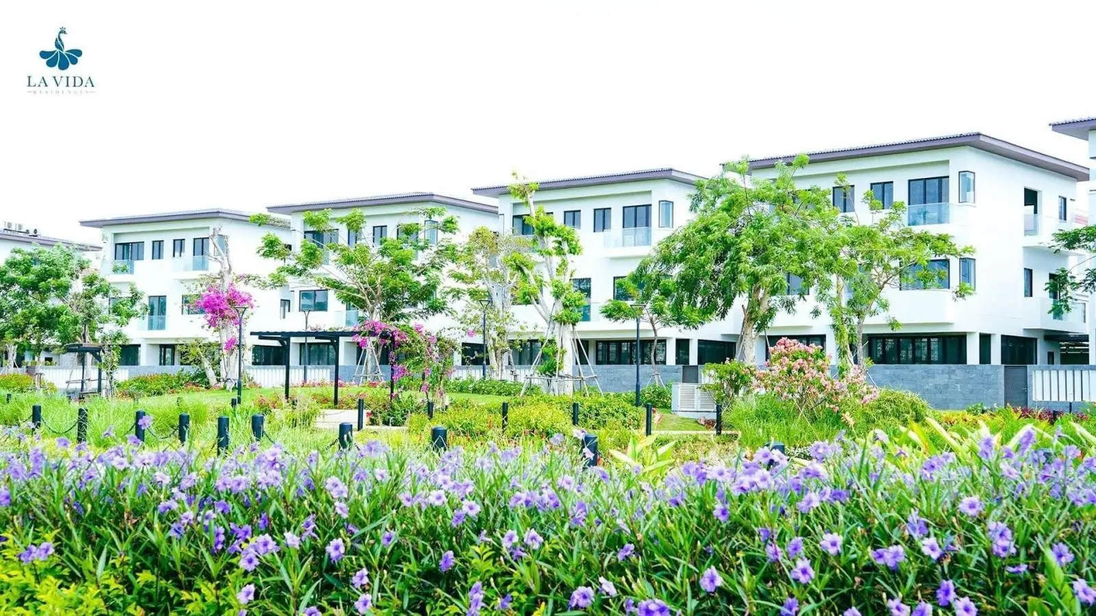 Cập nhật hàng ngộp lỗ nhà phố, biệt thự giá tốt nhất dự án La Vida Residences Vũng Tàu