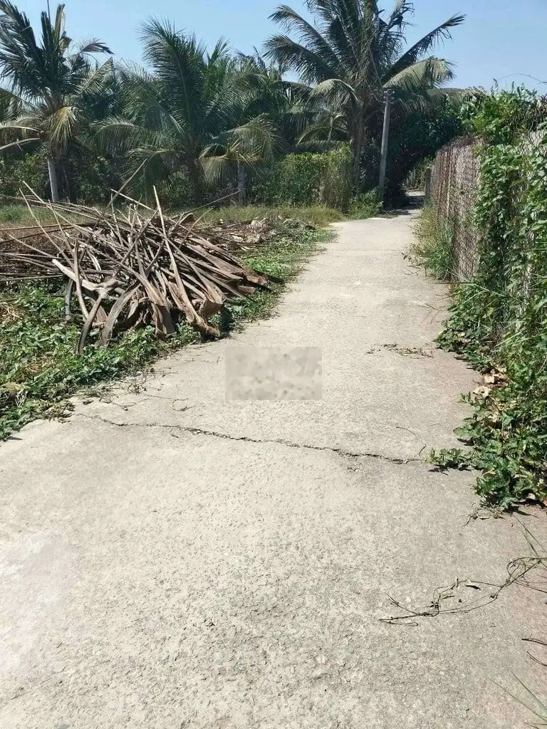 Bán đất 359 triệu, diện tích 103m2 tại 833, Xã Lạc Tấn, Huyện Tân Trụ, Long An