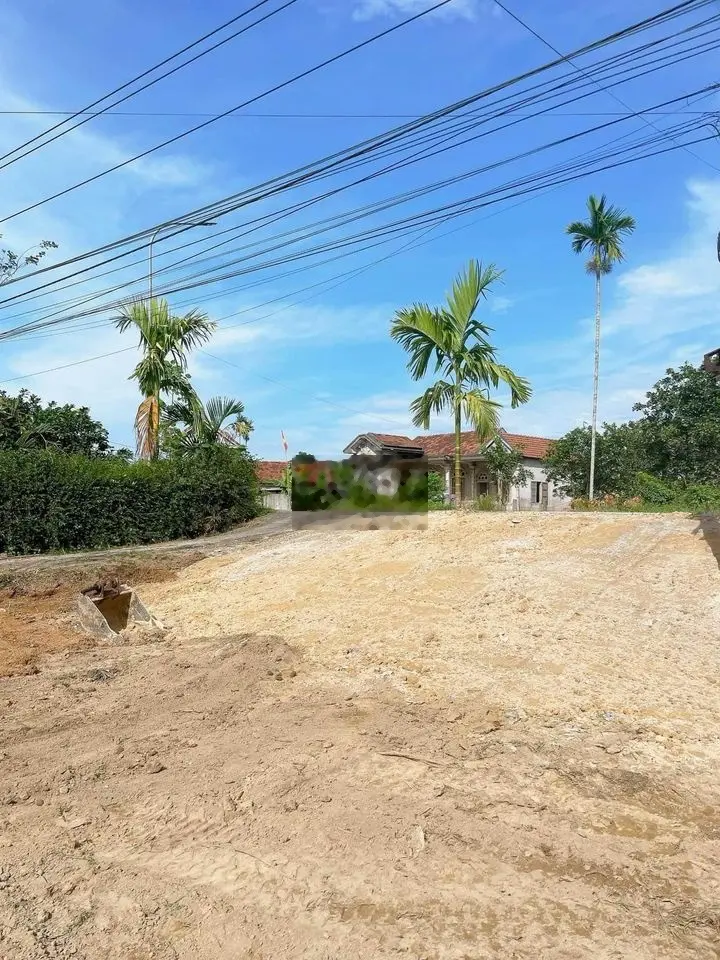 Mặt Tiền Đường Nhựa 31m - Đất Trung Tâm - Giá Cực Rẻ