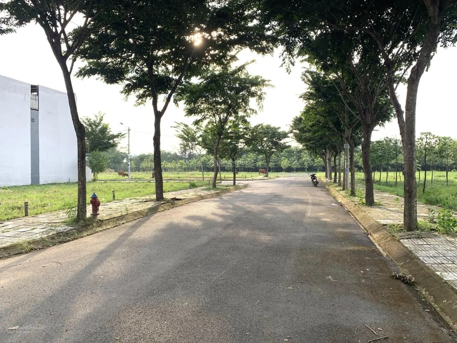 A11 khu dân cư vạn phát hưng 3,77 tỷ/81m2