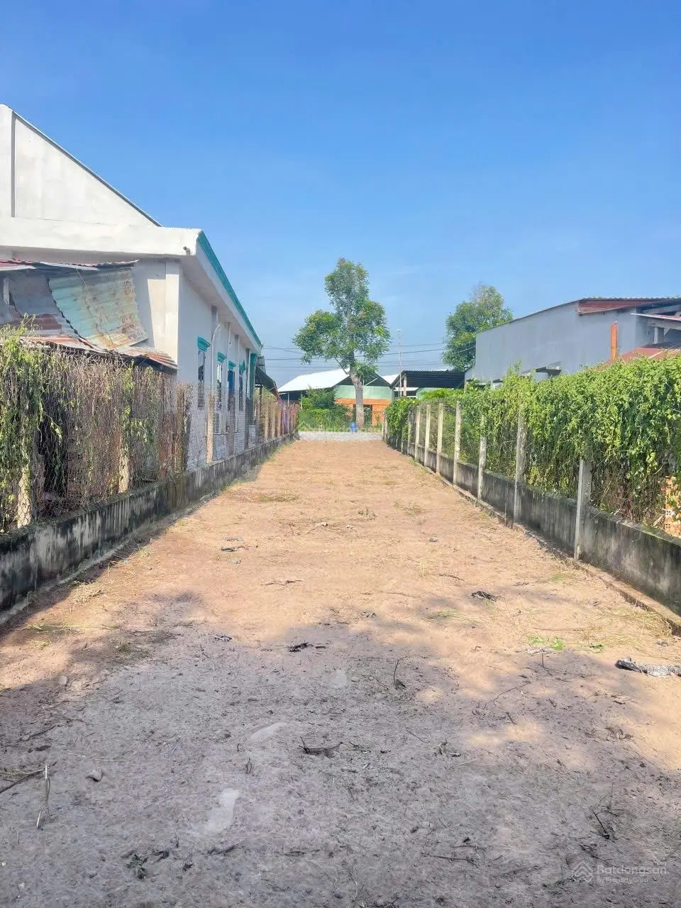 Chính chủ bán gấp đất đường nhựa DT 5*40m=218m2 thổ cư full LH: 0886 339 *** chính chủ