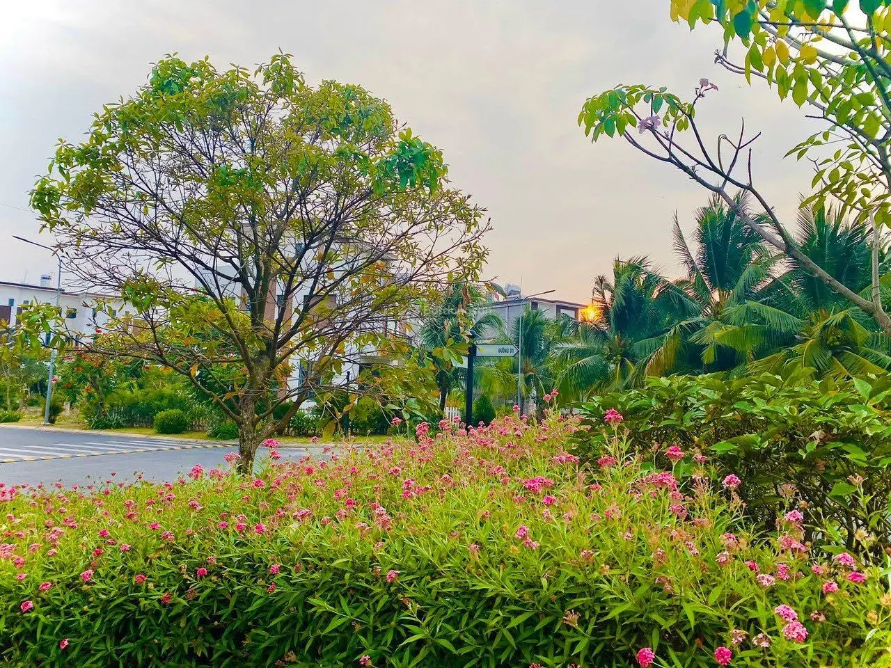 Mở bán 2 suất biệt thự ngoại giao Trần Anh Riverside, 8x14, 12x14. LH: 0902 396 ***