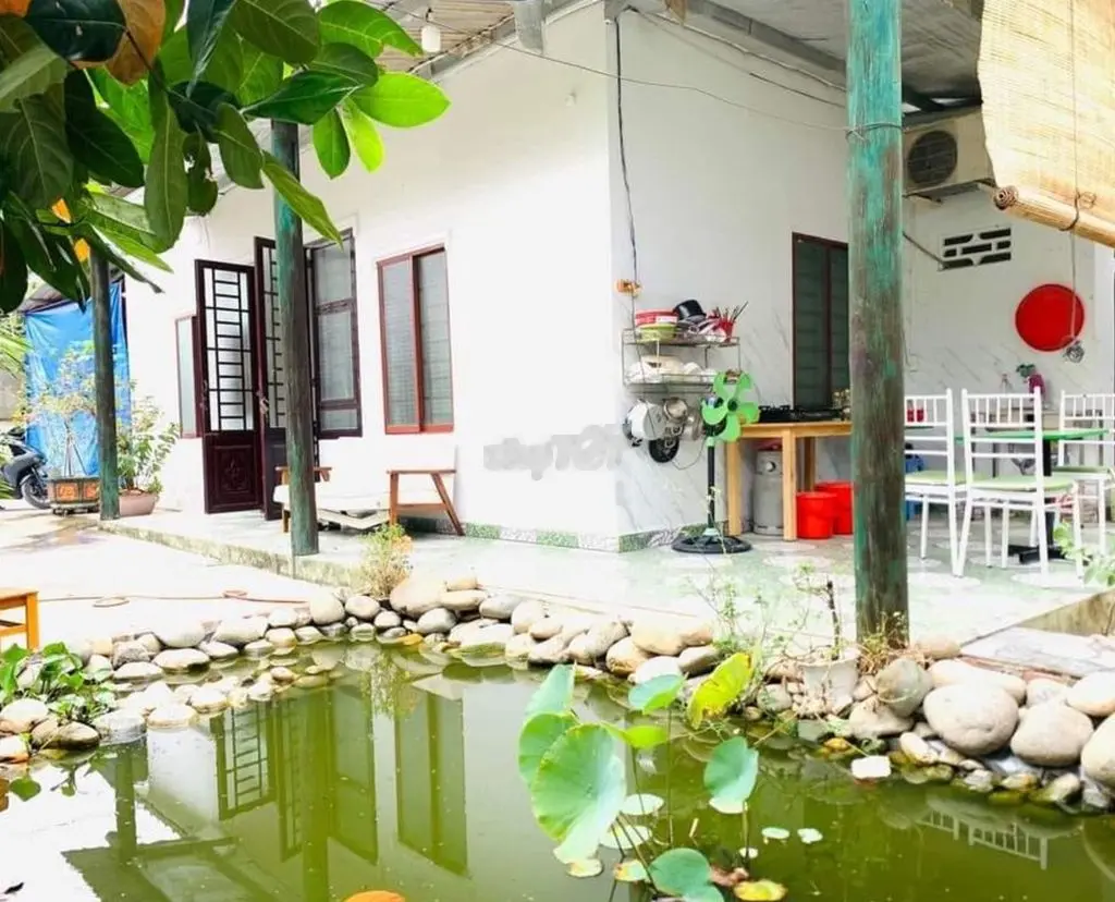 Bán gấp căn nhà vườn gần Thị trấn Củ Chi 586 triệu/ 328m2 có thổ cư