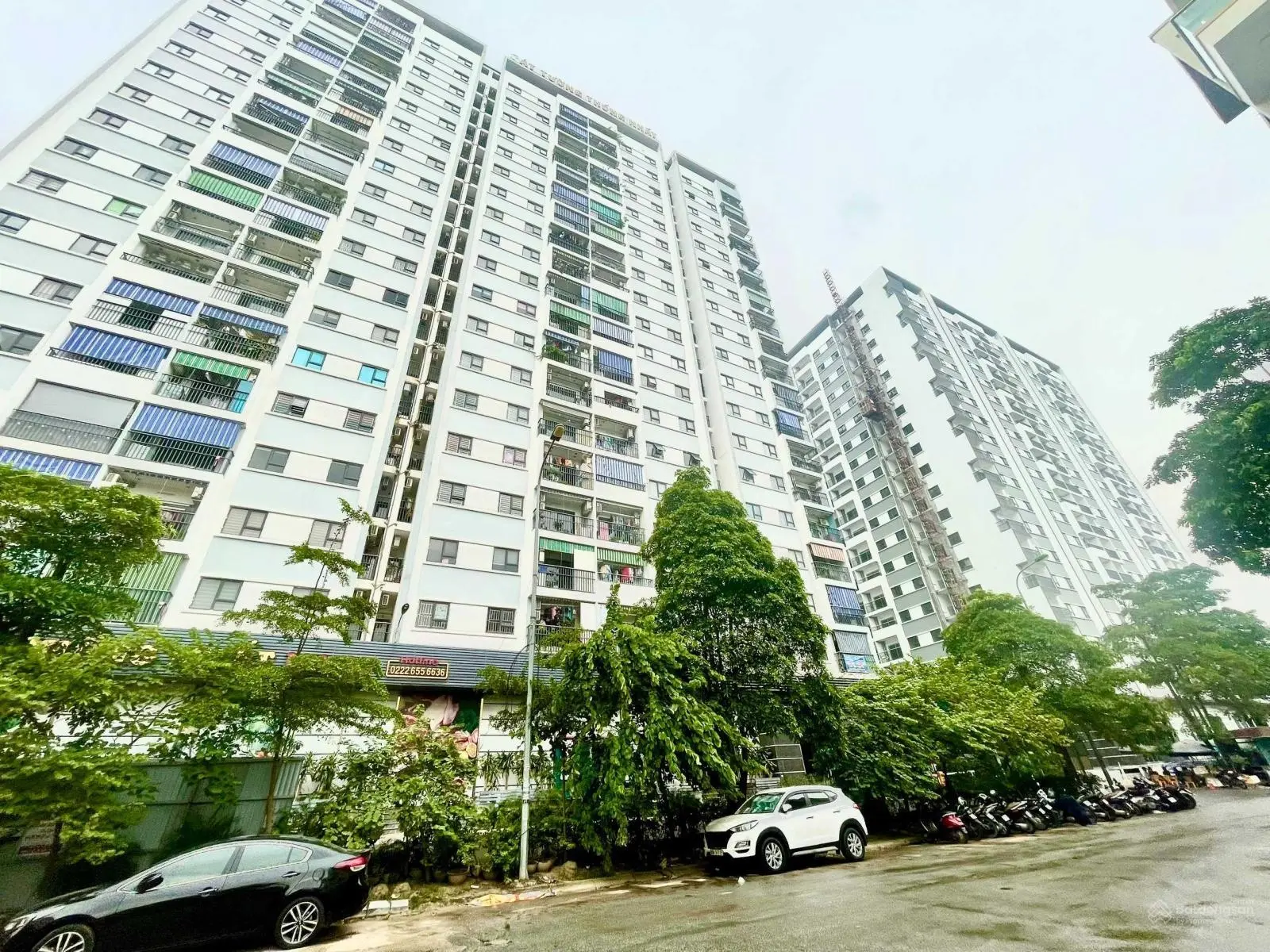 Bán nhà ở xã hội Cát Tường Thống Nhất, TP Bắc Ninh Căn 3n2vs . LH: 0978 862 ***