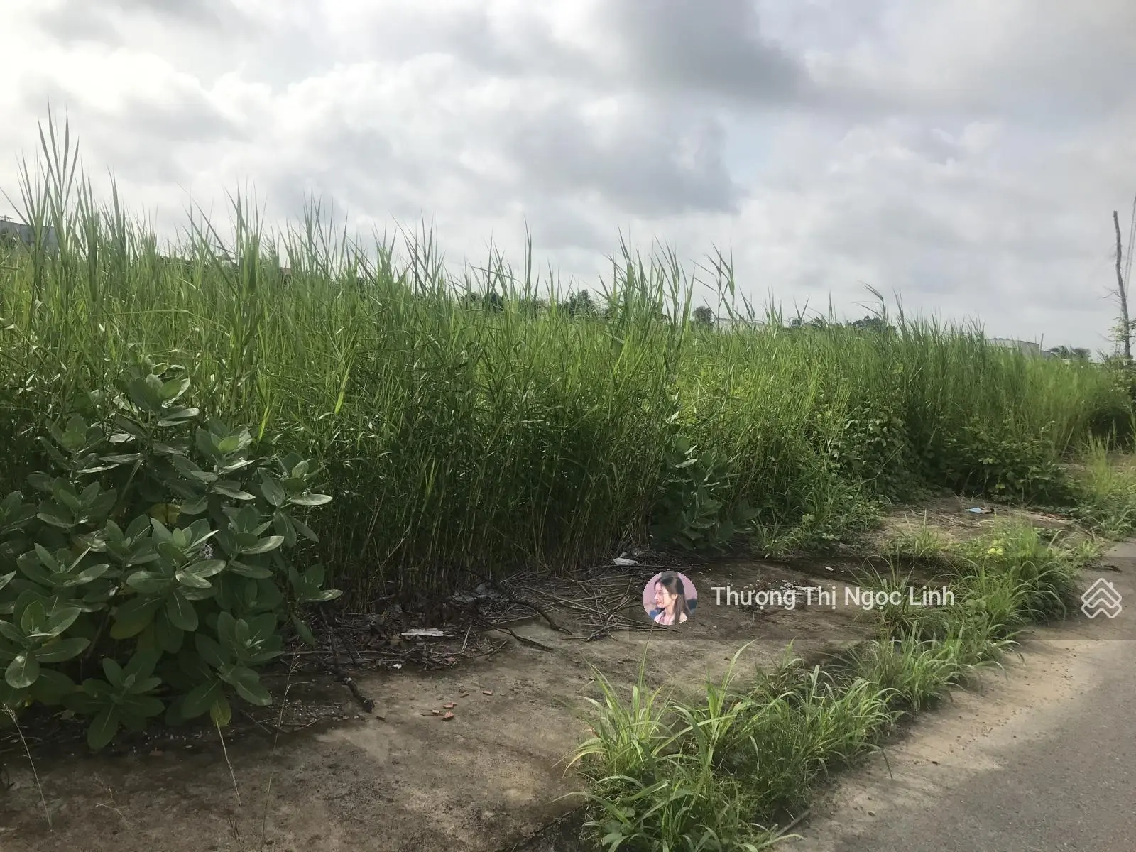 Kẹt tiền ra gấp lô đất MT đường Võ Tấn Đức, Vĩnh Long, cách chợ Tam Bình 2km. DT 120m2/600tr. SHR