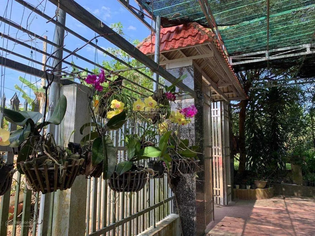Lô góc trung tâm Thị Trấn Khánh Vĩnh