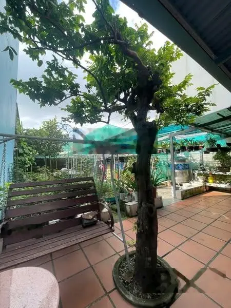 Bán nhà riêng tại 232 Nguyễn Công Trứ, 13,3 tỷ, 256m2, hàng hiếm tại Sơn Trà, Đà Nẵng