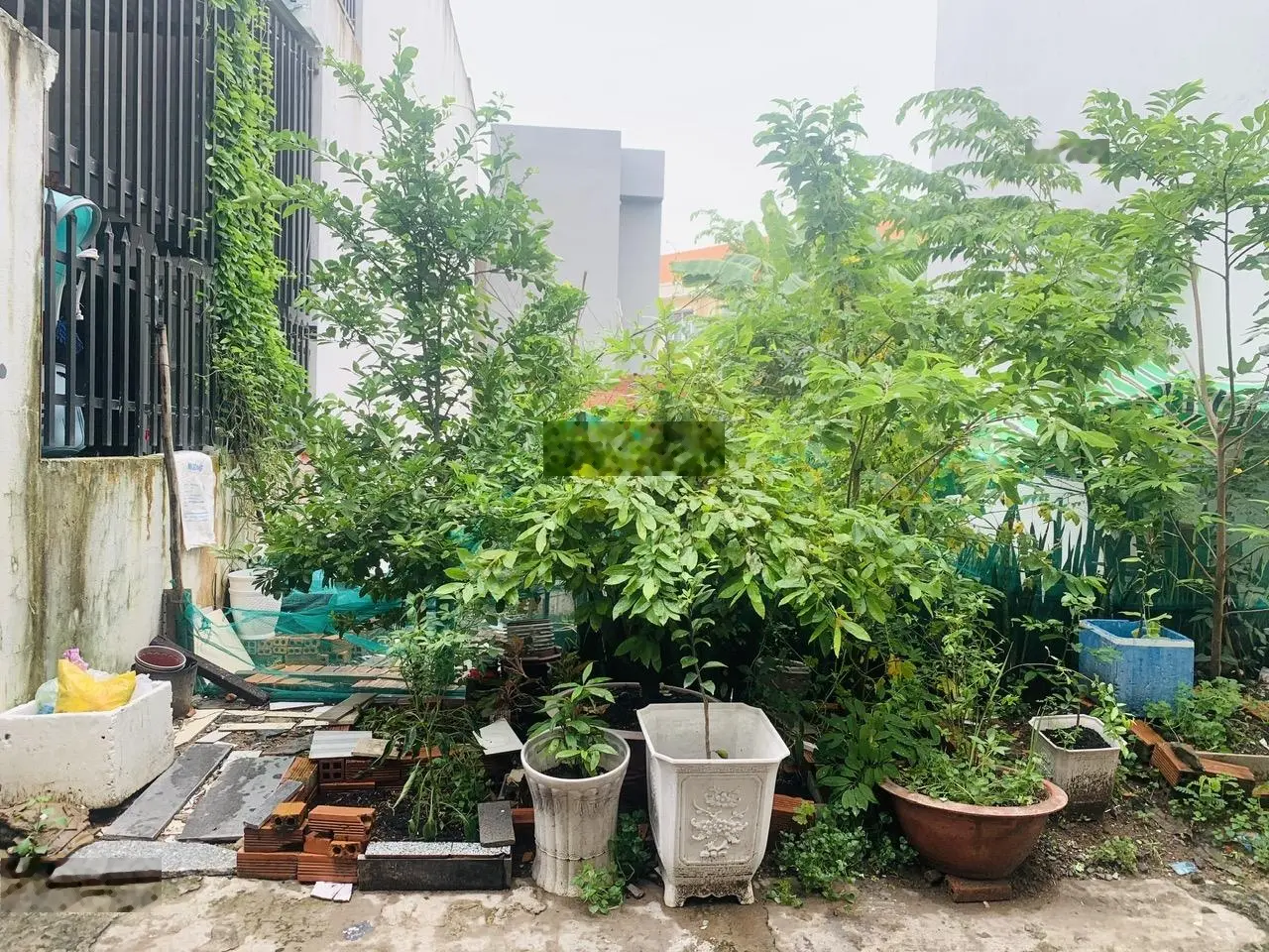 Giảm tiếp 100tr bán ngay 123m2 thổ cư, đường xe hơi , ngang 6m , nở hậu, Tân Kim, cách SG 11km