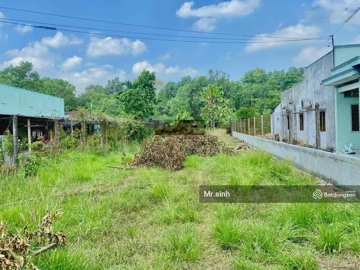 Đất vườn mặt tiền đường Thanh Niên,thích hợp làm nhà vườn sinh thái Hóc Môn TP. Hồ Chí Minh. 1 tỷ 7