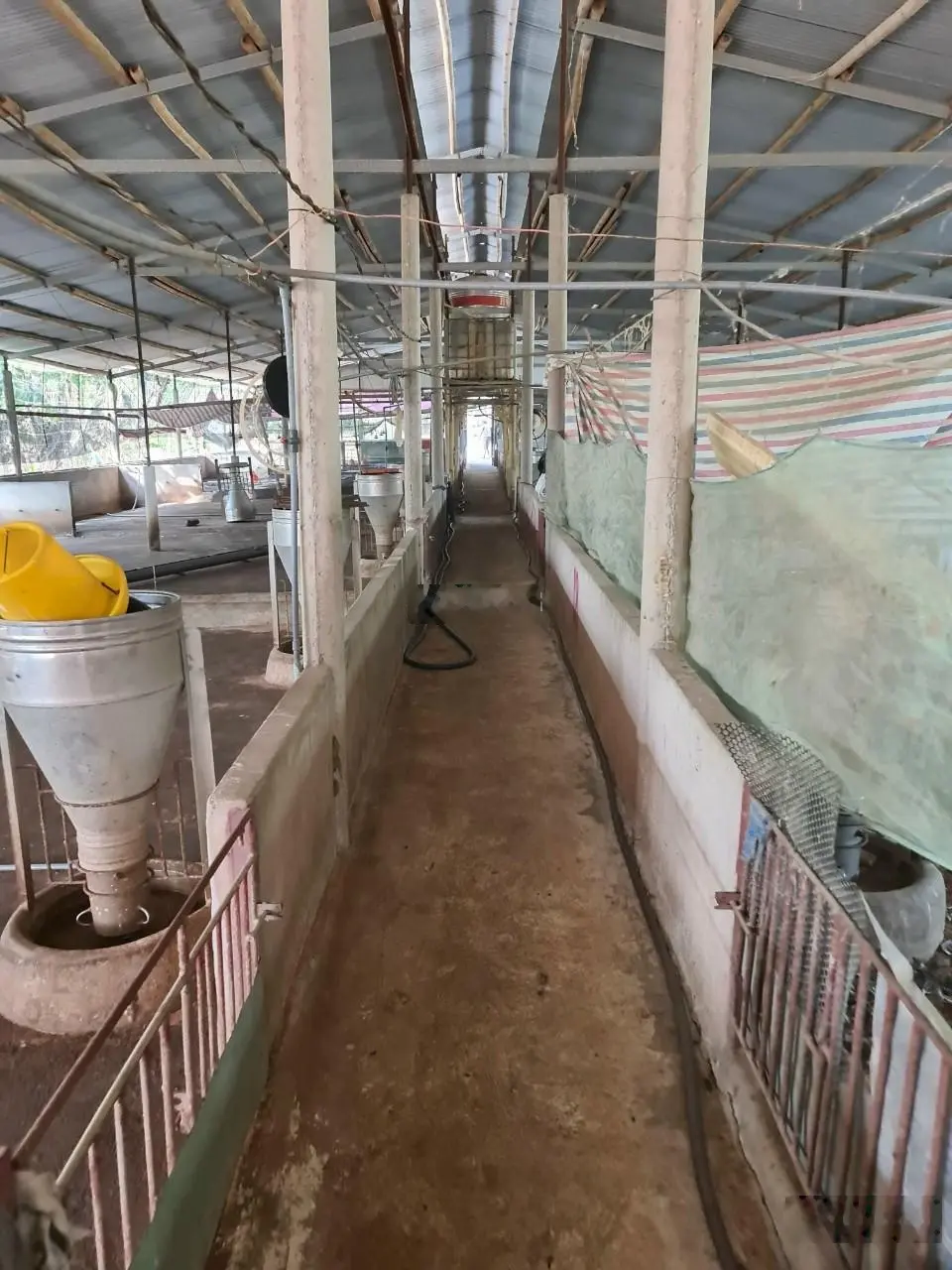 Bán đất trang trại xã Sông Trầu, Trảng Bom, Đồng Nai giá bán, có 2 nhà cấp 4, 2 dãy chuồng