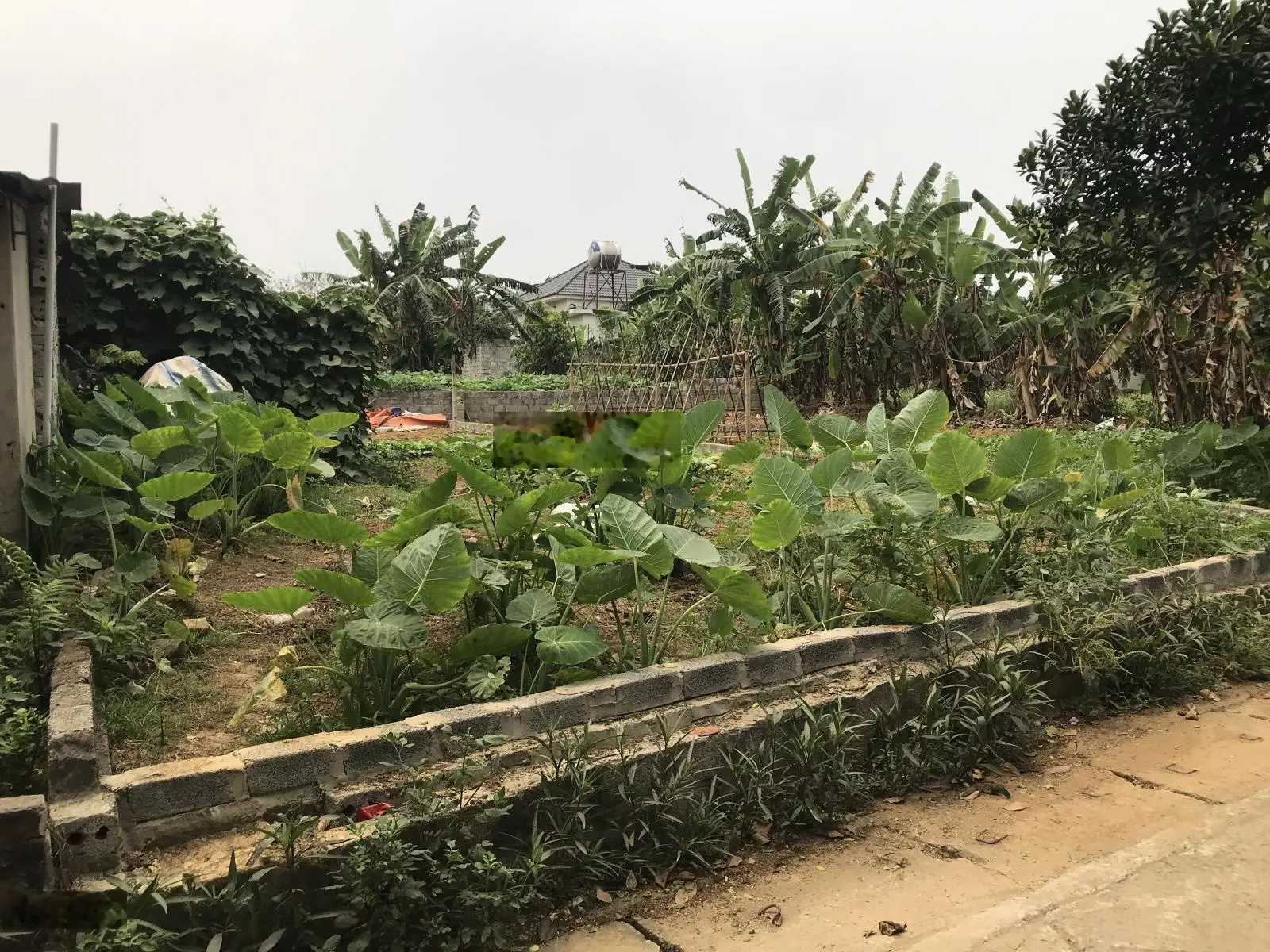 Chính chủ bán lô đất 174m tại Hoà Thạch, Quốc oai, Hà Nội lô 2 cách trục chính 150m
