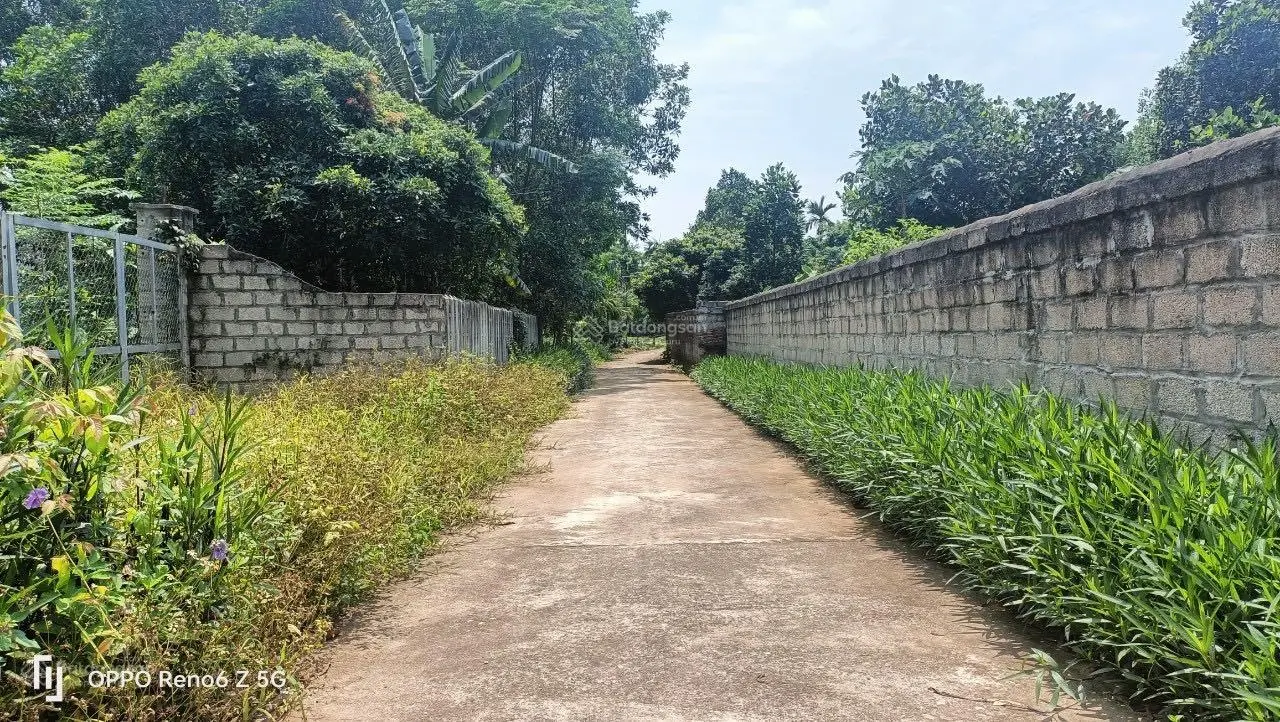Đất nghỉ dướng Ba Trại MT dài hơn 50m giá nhỉnh 2tr/m2. Gần trường học trung tâm chợ đường DT86