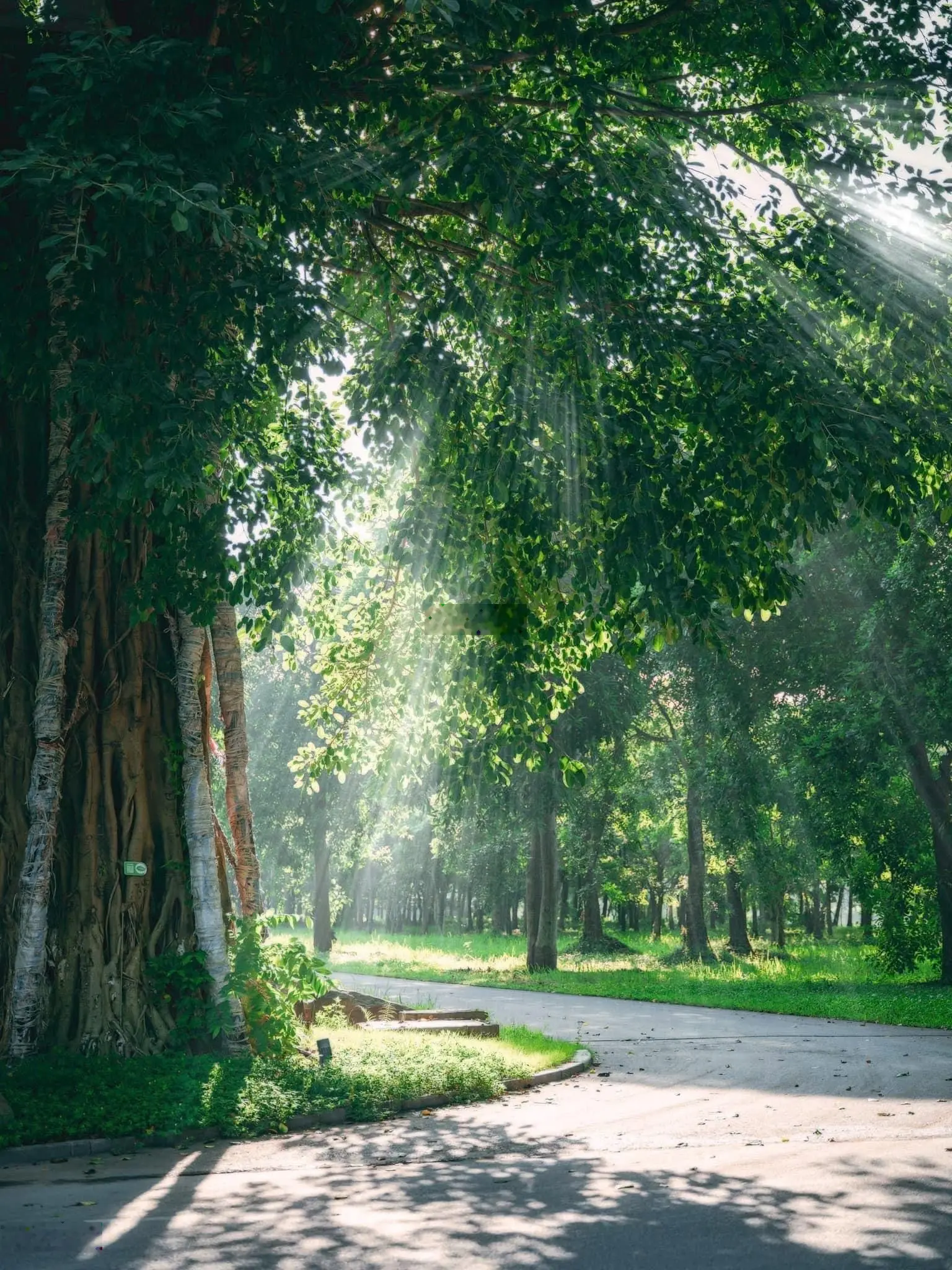 Khu đô thị cảnh quan Eco Retreat - Bến Lức, Long An, cách TP. Hồ Chí Minh chỉ 30p