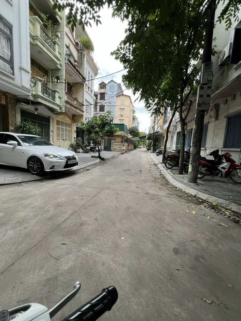 ĐẤT PHÂN LÔ BÀN CỜ BẠCH ĐẰNG, VỈA HÈ, NGÕ THÔNG, GIÁ CẢ TL