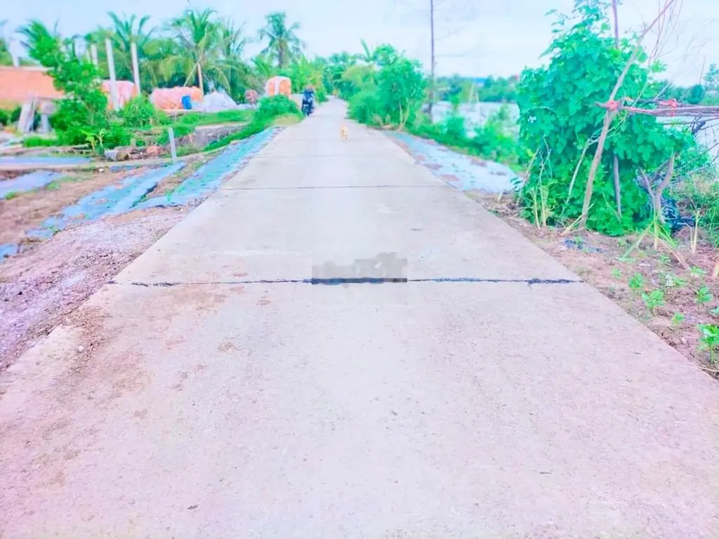 <𝐂𝐚̂̀𝐧 𝐁𝐚́.𝐧> THỬA ĐẤT LỘ Ô TÔ 3M THUỘC ẤP CHÁNH XÃ LÝ VĂN LÂM.