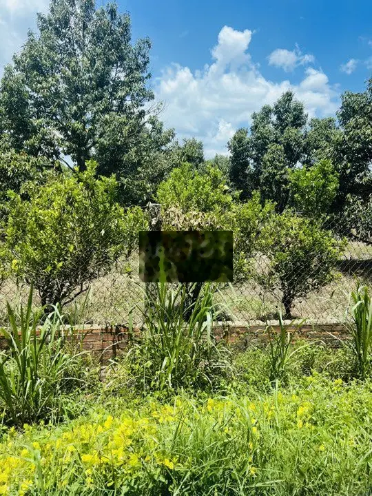 Chú 4 bán vườn 2500m2 có 100m2 thổ đường nhựa ngay TT Dầu tiếng,shr
