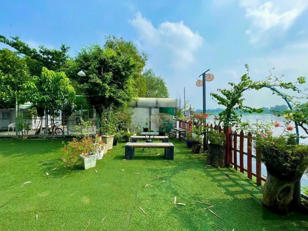Hiếm! Biệt thự cạnh sông SG! P. Hiệp Bình Chánh - Thủ Đức - Gần 500m2 - Chỉ 45 tỷ