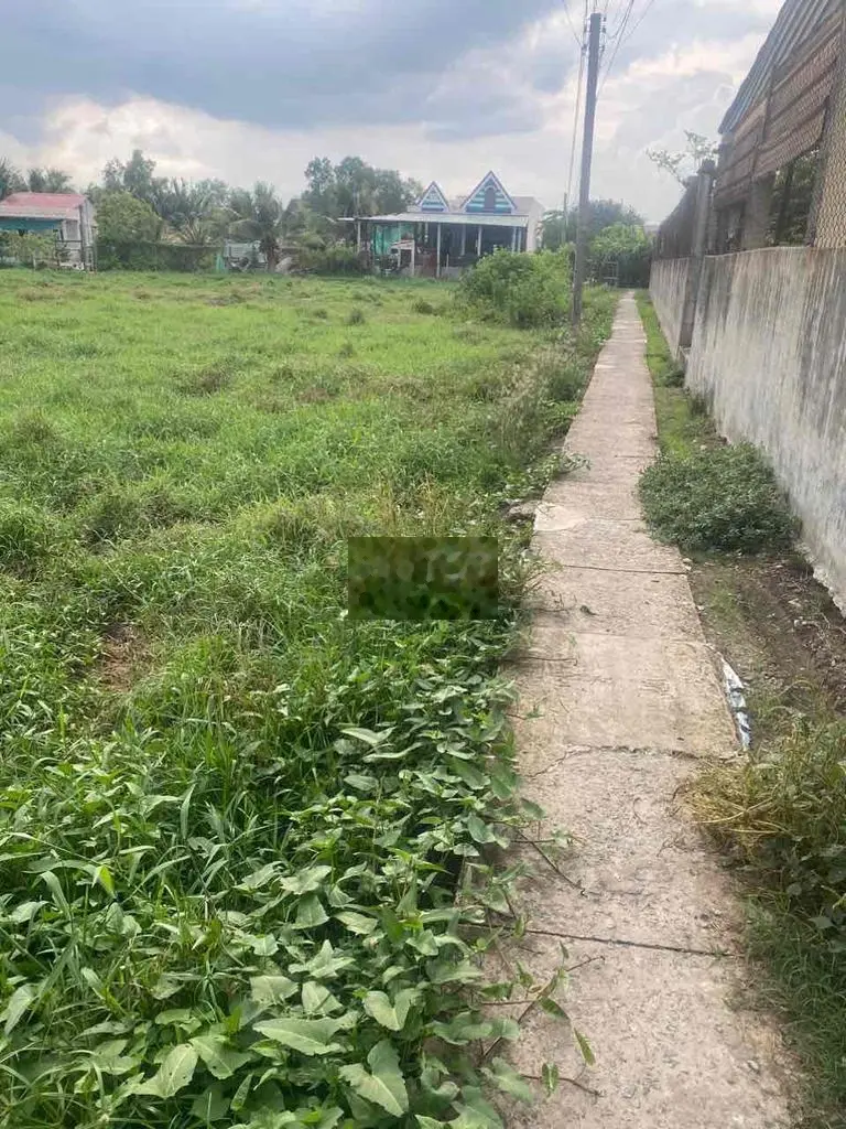 2676 m2 Đất Mặt Tiền Cao Thị Mai Thị Trấn Tân Trụ, Khu vực VIP