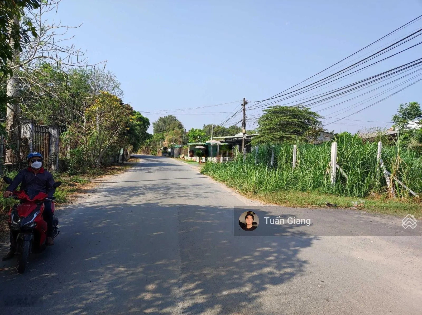 Bán lỗ! 102m2 đất thổ đường Cây Trắc - gần UBND, Chợ, Co.Opđi từ Sài Gòn chỉ 30 phút - giá 1tỷ3