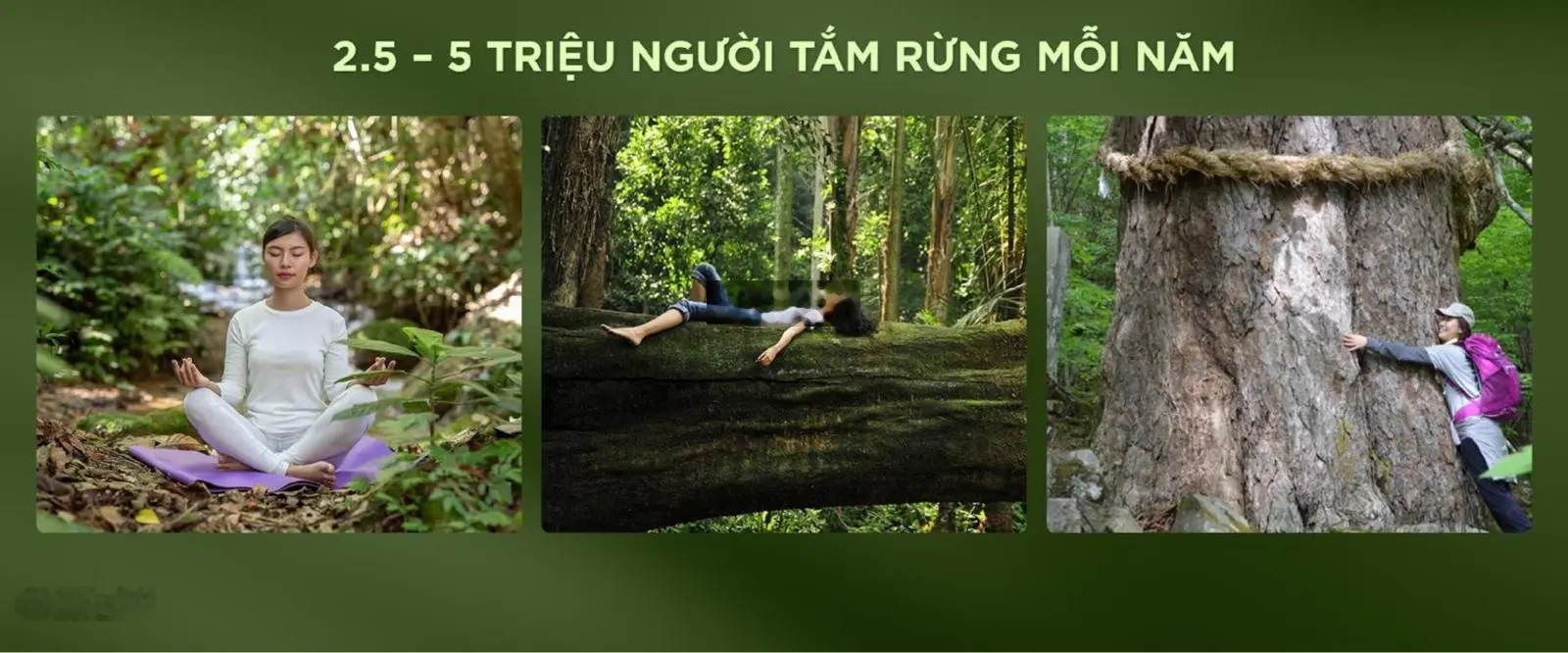 Eco Retreat - Giỏ hàng độc quyền căn đẹp. Alo em Quỳnh Anh