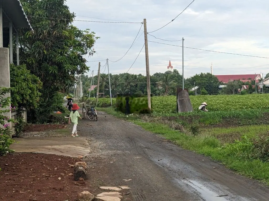 KHÓ KHĂN QUÁ MUỐN BÁN LÔ ĐẤT CỦA NHÀ AI MUA GỌI TUI