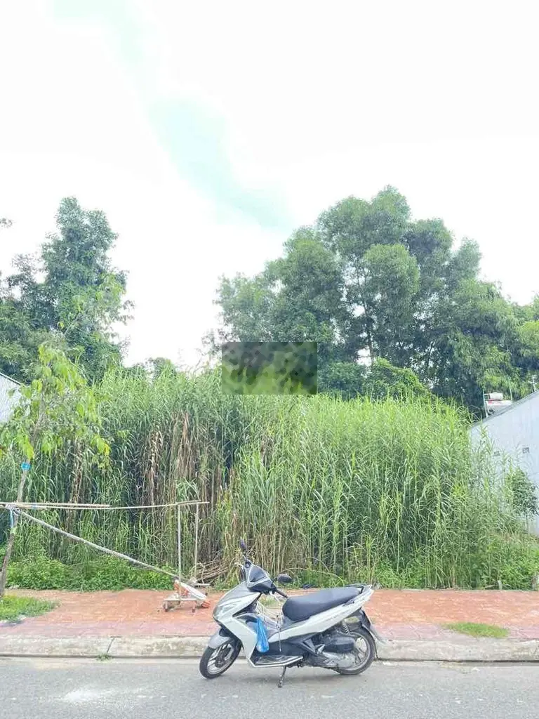 GIẢM GIÁ BÁN GẤP NỀN ĐS 1 HỒNG PHÁT NGÃ 7