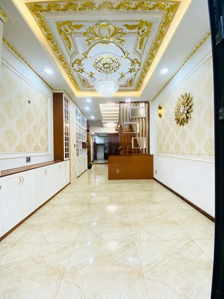 BÁN BIỆT THỰ MINI CỔ ĐIỂN t DT 240M2. HẺM XE HƠI GẦN CẦU CHÀ VÀ QUẬN 8