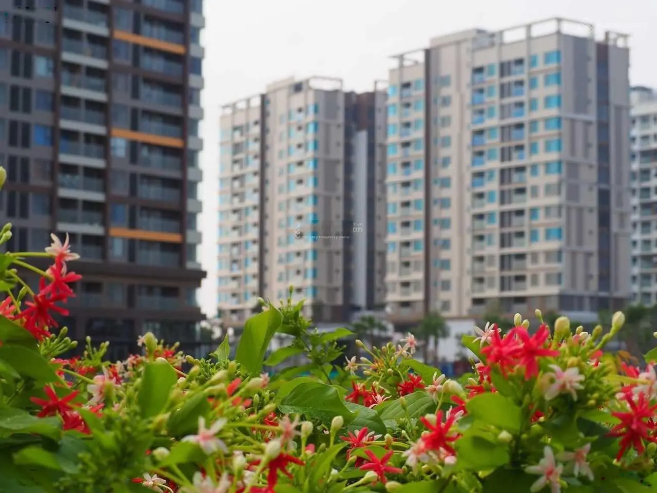 Cần bán căn hộ 56m2 KĐT Mizuki Park Nam Long giá chỉ 2.5 tỷ - nhận nhà liền tay 0938 387 ***