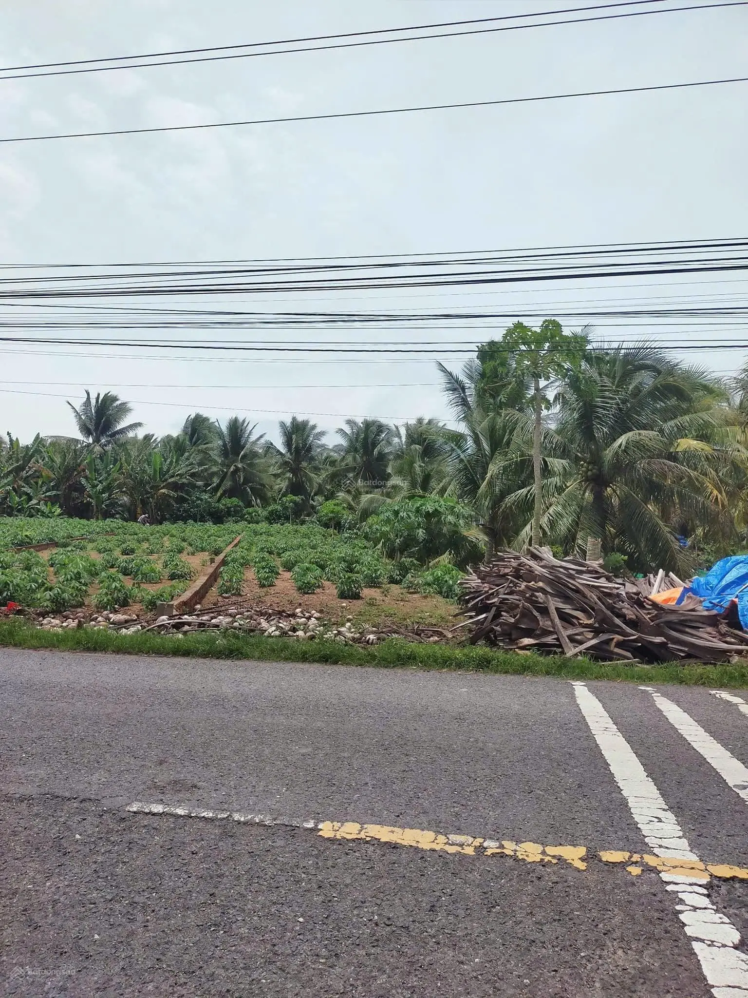Cần tiền gấp ra đi 120m2 SHR thổ cư gần Coopmart Bến Tre. MT Nguyễn Văn Trung, Phú Hưng