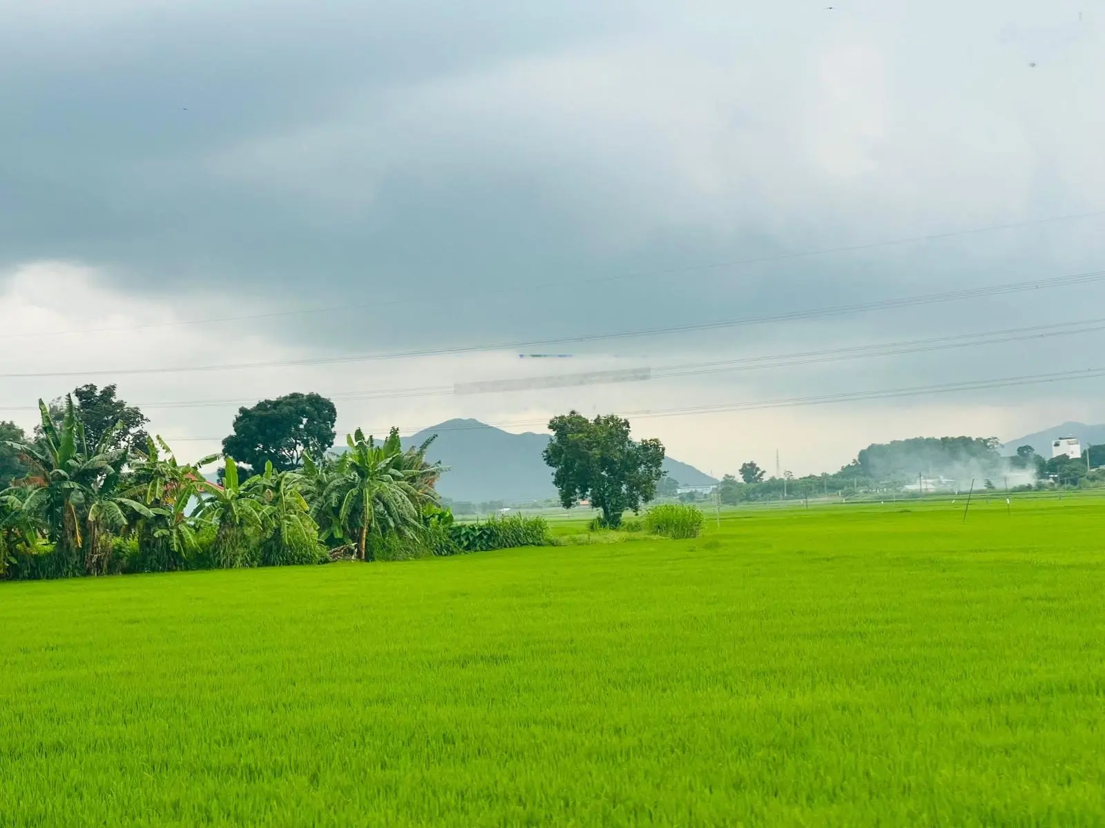 Một lô duy nhất - mặt tiền khu biệt thự Phan Gia. Ngay tỉnh lộ 44B vô 500m