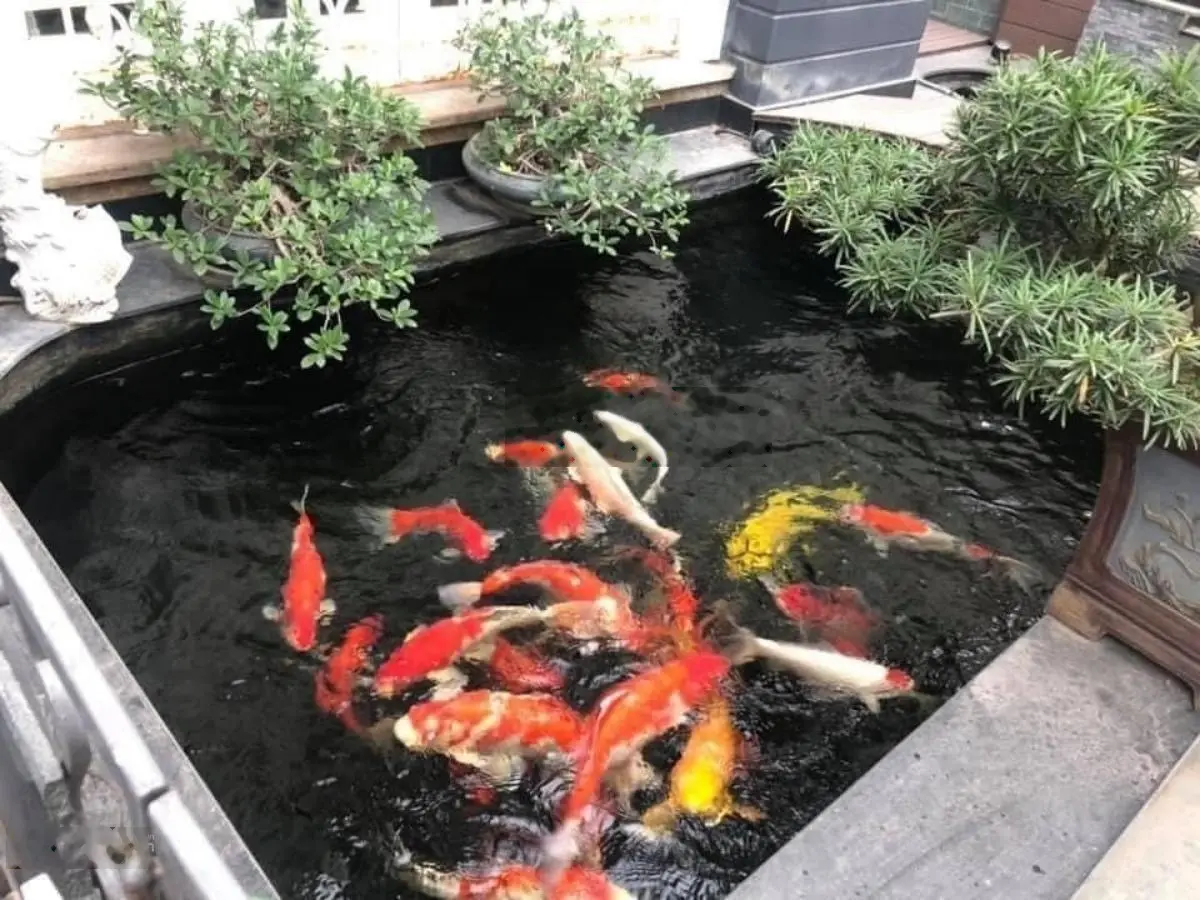 Siêu rẻ đẹp! Hạ chào 2 tỷ, phố Xuân La, thang máy, hầm xe, 3 ô tô tránh, rẻ nhất phố, quận Tây Hồ