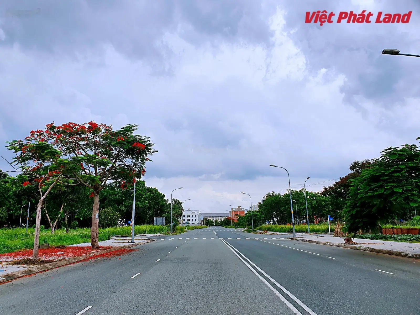 Bán đất sổ đỏ cá nhân Cát Lái, đa dạng diện tích 5x21,88m, 7x20m, 8x20m. LH 0934 820 ***