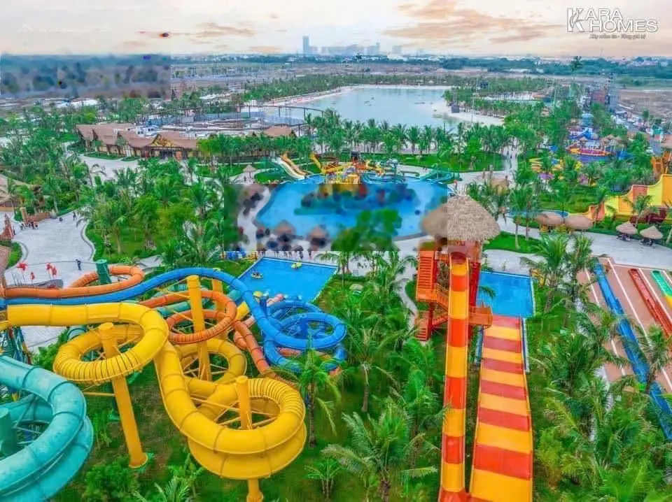 Nữ hoàng Ánh Dương 14 rất đang hót trên thị trường vinhomse Ocean park 3
